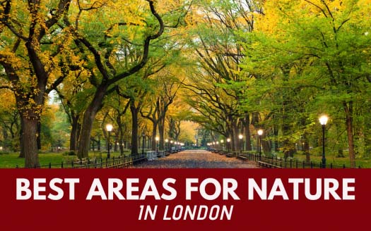 Top Parks In London 525x328 1