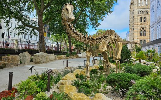 Natural History Museum Park 06